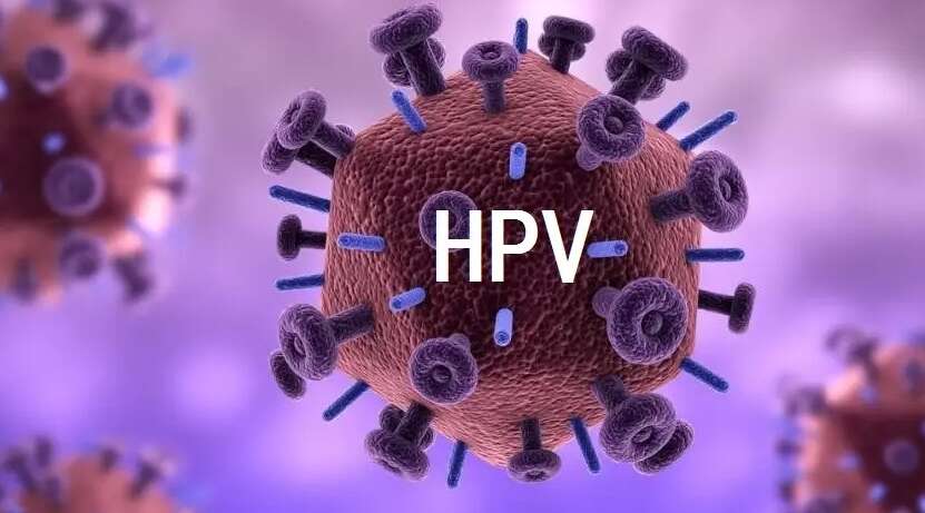 HPV66阳性的最坏结果是什么 hpv66阳性的最坏结果是什么样子