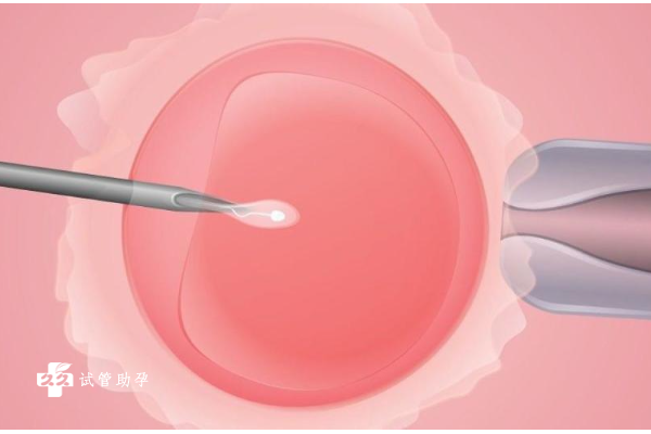 子宫内膜过薄是否应该放弃试管移植？