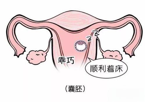 移植囊胚第九天淡淡的红印能说明怀孕吗？