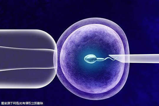 从检查到试管需要多长时间完成 试管从检查开始到促排卵要多久