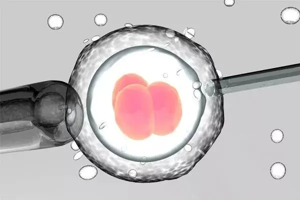 一文读懂人工授精和试管婴儿技术