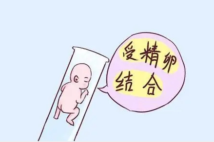 为什么很多人不愿意做试管婴儿