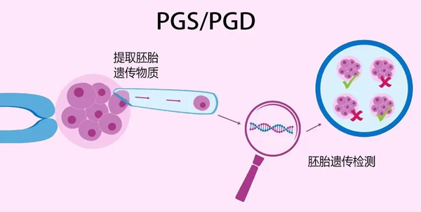 三代试管囊胚筛查都检查什么项目？