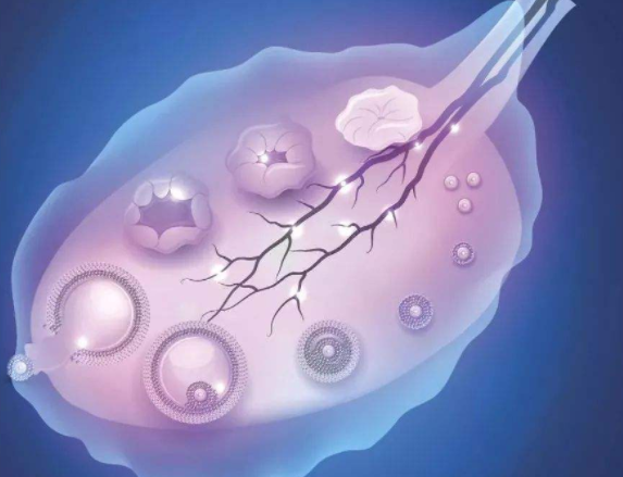 卵泡数量少，做试管能顺利成？