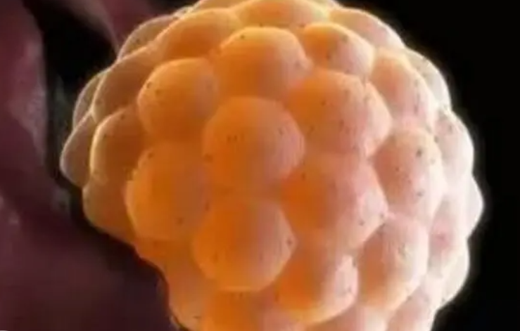 QQ截图20240815113143.png