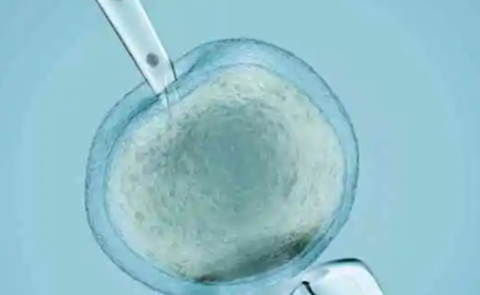 QQ截图20240818101012.png
