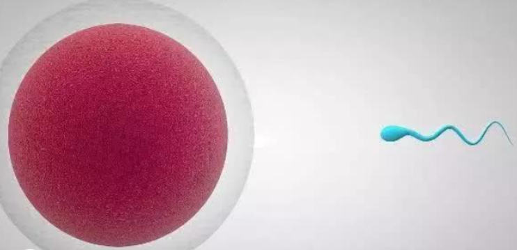 QQ截图20240818153255.png