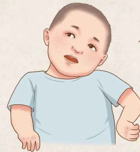 QQ截图20240821153208.png