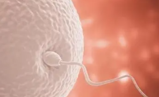 QQ截图20240825150546.png