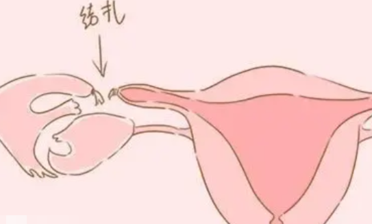 QQ截图20240825174836.png