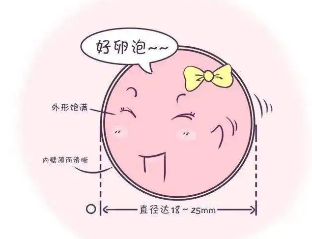 卵泡26x22自然排出有几率成功受孕吗？