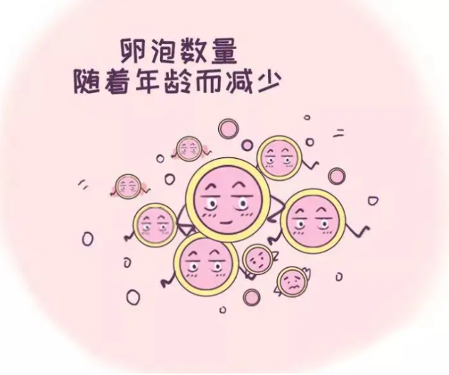 女性子宫没有卵泡能生育吗，怀孕有哪些条件？