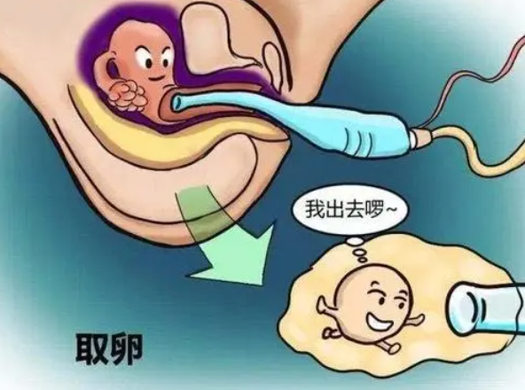 人工周期雌二醇和孕酮指标怎么看，达到多少才能移植冻胚？