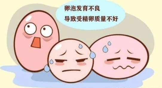 卵泡成熟抽血看三项激素标准是什么？