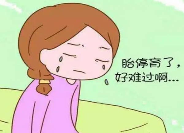 试管胎停后调理身体的方法，帮助你快速恢复