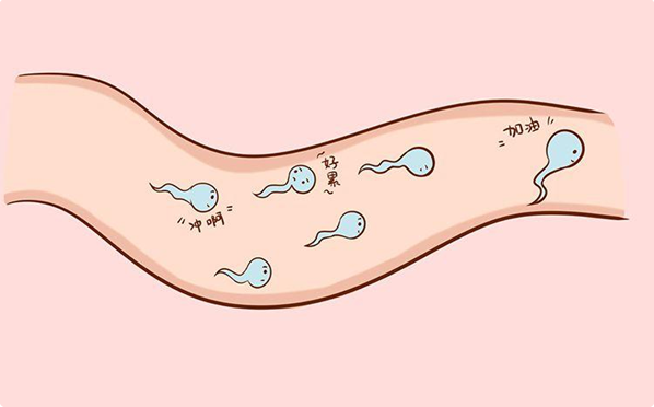三代试管婴儿对男性的精子活力要求高吗？