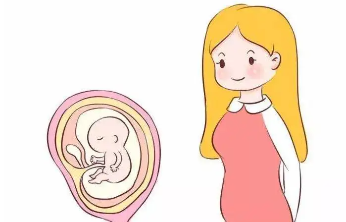 试管婴儿费用