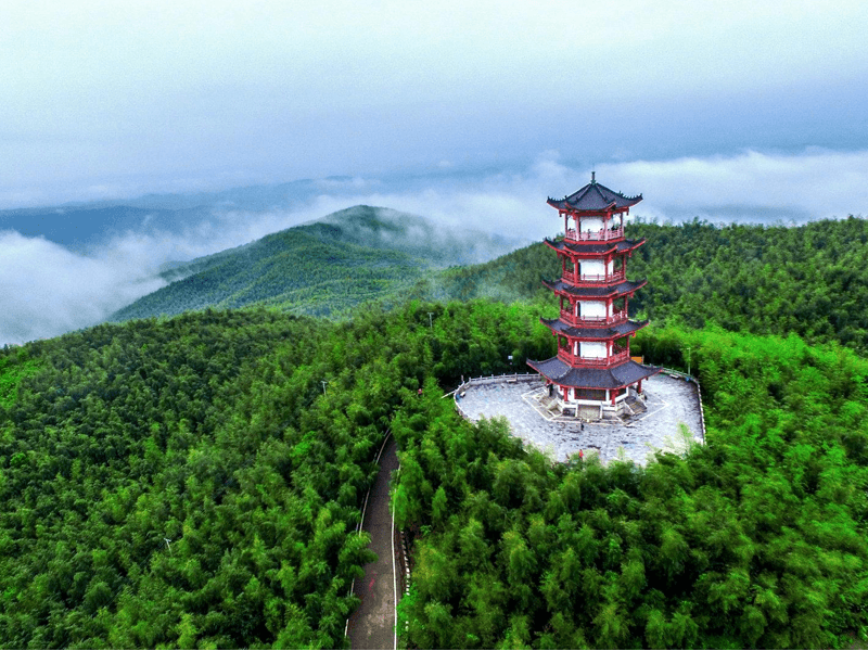 耒阳试管婴儿