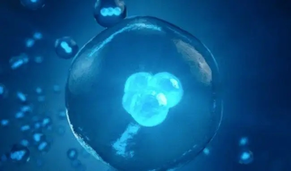 myzx200018583988108002.png
