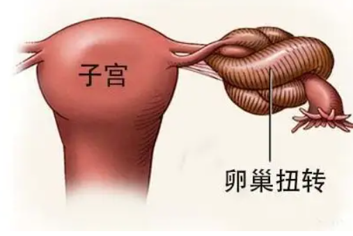 myzx440018752611872002.png