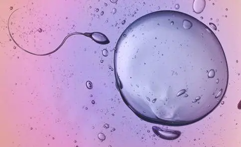 myzx370018841427424002.png