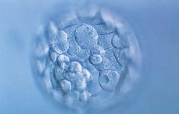 myzx540018841535178002.png