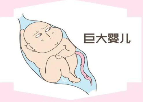 myzx400019265748908002.png