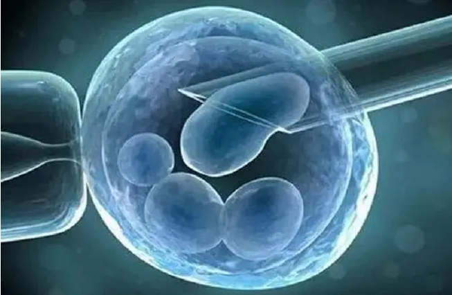 myzx590019250973164002.png