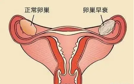 移植前打降调针对身体有影响，内膜变薄时正常情况