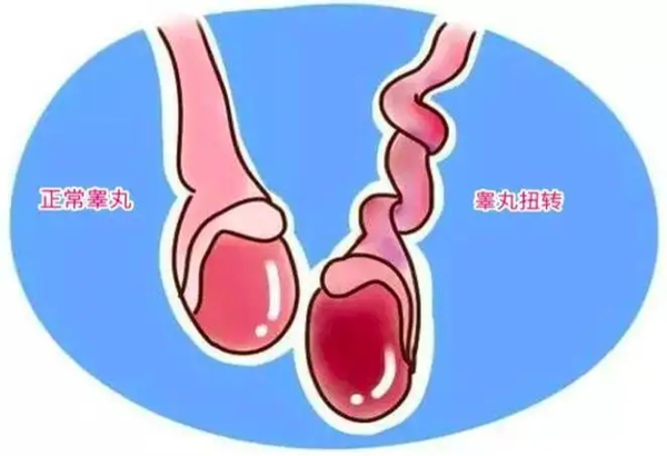 myzx190021059386307002.png