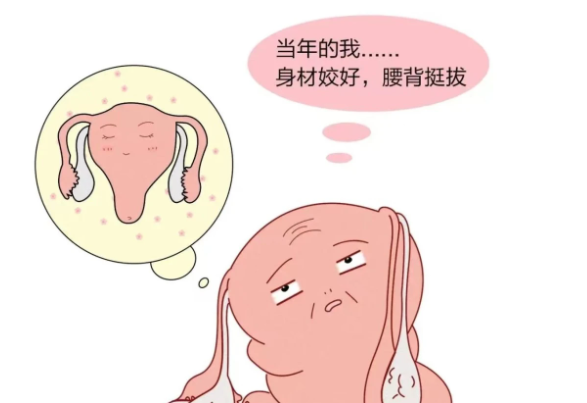 卵巢早衰的女性可以做试管婴儿吗？成功率如何？