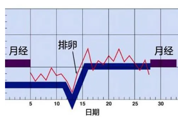 关于排卵当天的症状，你需要了解些什么？