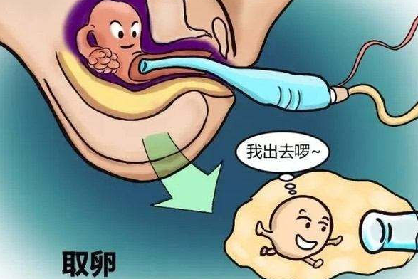 试管取卵后可以热敷肚子缓解不适吗？