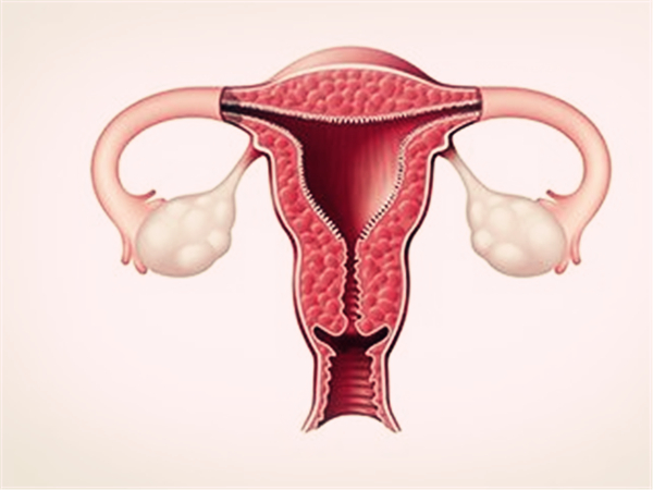 子宫内膜厚度知多少：不同时期各不同，正常范围不超 12mm