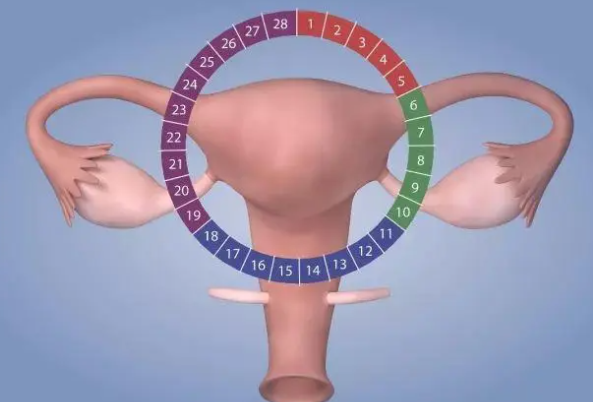 myzx930021773621525002.png