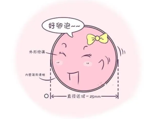 myzx380020643325803002.png