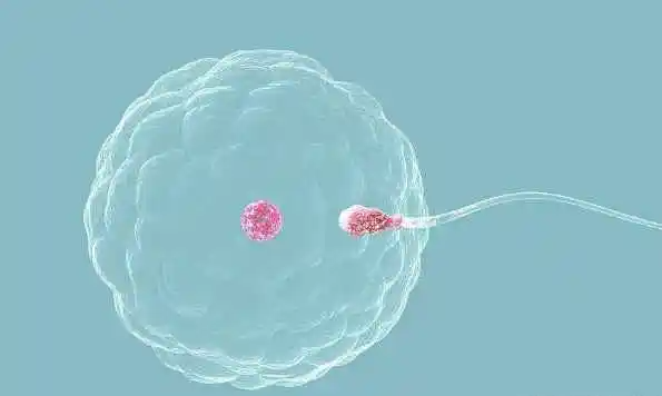 myzx480017373549256002.png