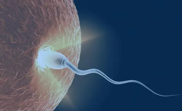 myzx470016423980876002.png