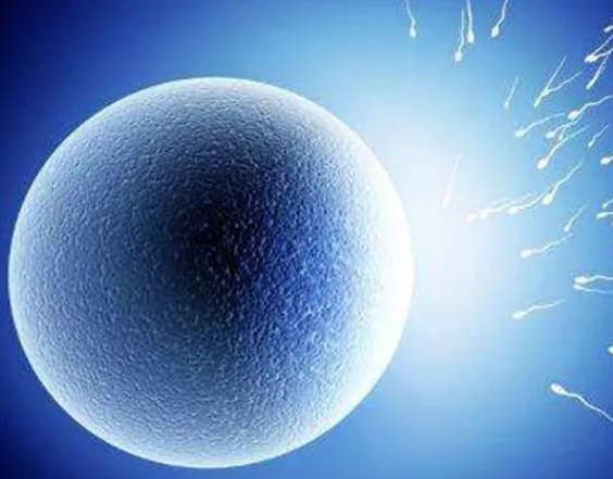 2025杭州医院三代试管婴儿哪家医院成功率更高？