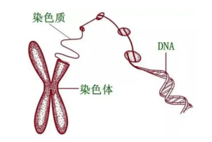 去扬中市看卵巢早衰治疗医院哪家好？试管医院情况清清楚楚