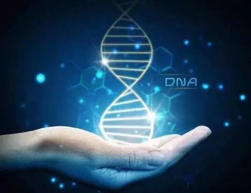 济南做第三代试管婴儿大概需要多少钱？