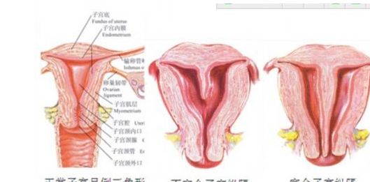 去江油市看卵巢早衰治疗医院哪家好？试管医院情况清清楚楚