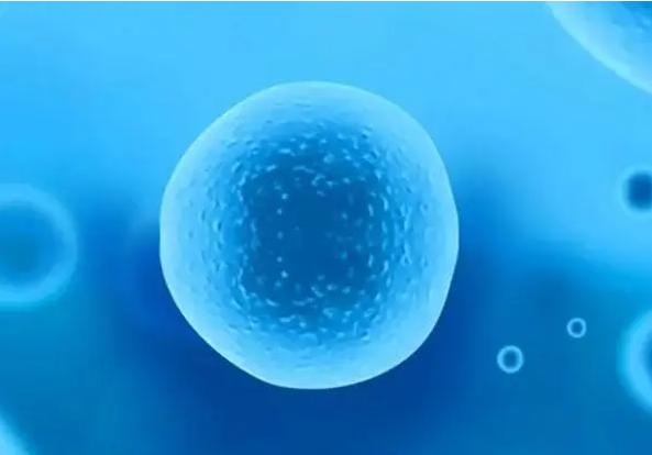 去琼海市看卵巢早衰治疗医院哪家好？试管医院情况清清楚楚