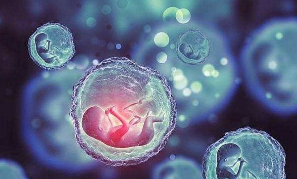 2025湖南三代试管医院排名分享！如何提高卵泡质量