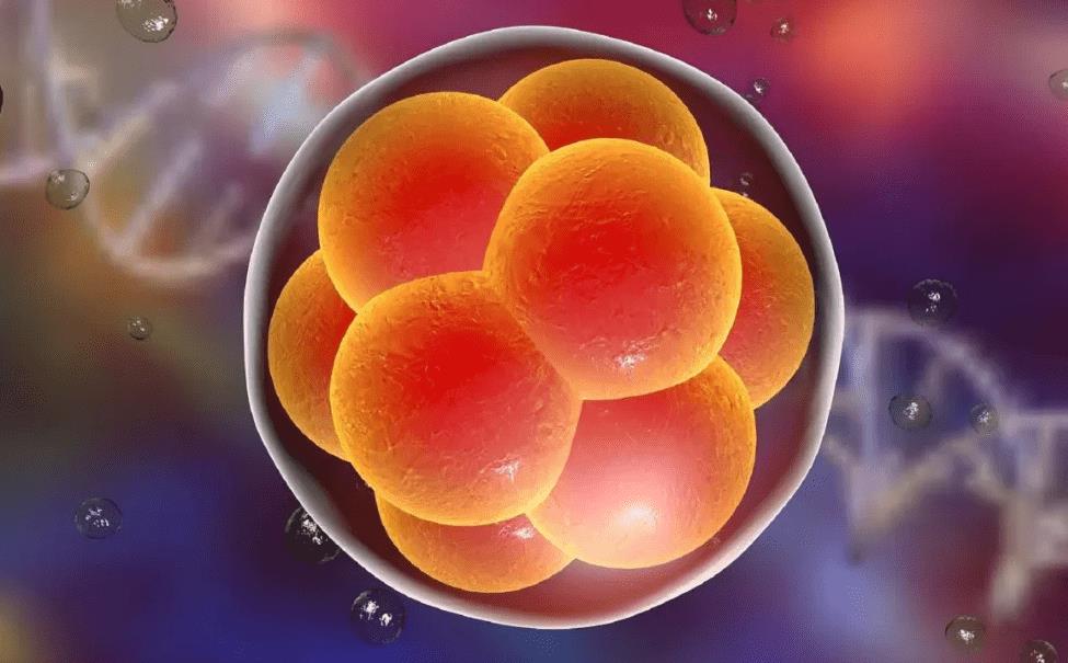 深圳益康医院三代试管婴儿费用是多少？