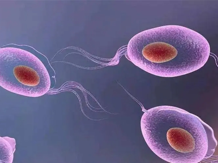 哈尔滨试管婴儿费用明细表，2025检查、取卵各项目花费预估