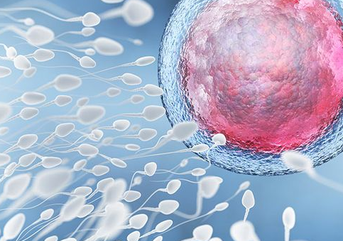 2025黄石试管婴儿医院排名，附试管婴儿成功率和费用一览