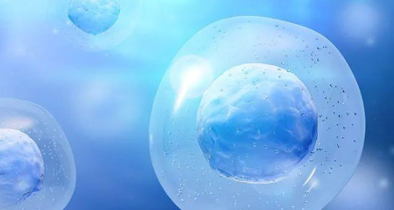 海口三代试管费用是多少？海口三代试管成功率是多少