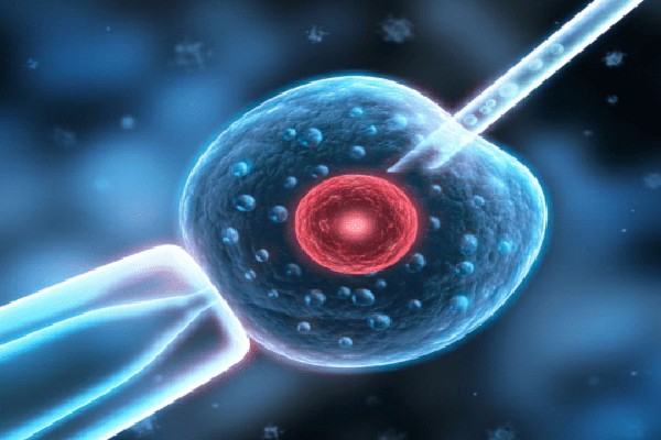 2025西藏试管婴儿医院排名，附试管三代试管成功率和费用一览