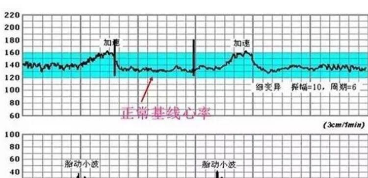 2025长春同城助孕指南，试管婴儿费用估算，医院成功率排行